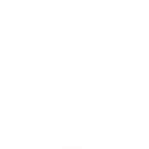 Logo Rodape